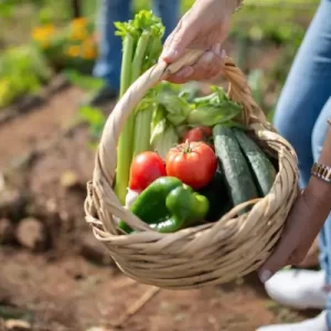 Cultive Saúde e Bem-Estar: Benefícios e Dicas para Criar uma Horta em Casa