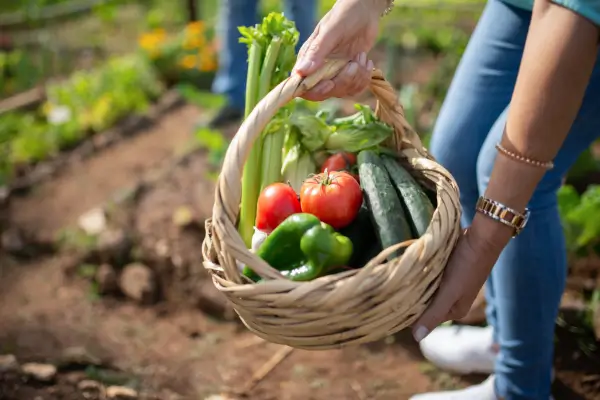 Cultive Saúde e Bem-Estar: Benefícios e Dicas para Criar uma Horta em Casa